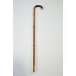A walking stick with gold band and snakeskin and ivory handle,