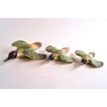 A group of three graduated Beswick green woodpeckers in flight,