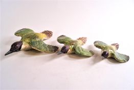 A group of three graduated Beswick green woodpeckers in flight,