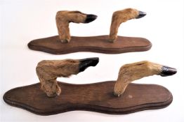 A pair of deer hoof whip racks, mounted on shaped oak boards,