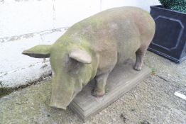 A reconstituted stone figure of a pig on rectangular plinth base, 55cm high, 87cm wide,