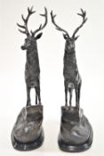 A pair of bronze figures of stags seen in an alert pose on a crag and raised on marble bases,