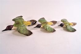 A group of three graduated Beswick green woodpeckers in flight,