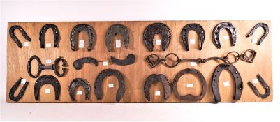 A specimen board of horseshoes and other equine items spanning almost a thousand years,