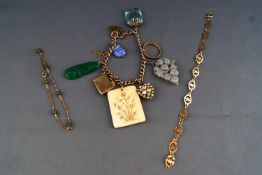 A collection of Jewellery to include a charm bracelet with large abstract carved/gemstone charms,