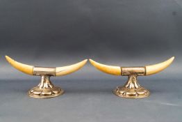 A pair of silver mounted mini ivory tusk knife rests, Birmingham 1911,