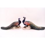 A pair of Continental glazed stoneware figures of peacocks,