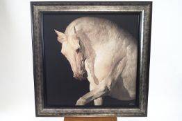 Hugh Williams, Equus, canvas edition, numbered 23/95, with certificate of authenticity verso,