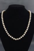 A single strand of cultured pearls (untested) consisting of 72 pearls measuring from 7.5mm to 8.0mm.