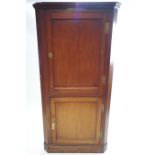 A George III mahogany two door corner cabinet with H form hinges, circa 1800.