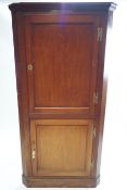 A George III mahogany two door corner cabinet with H form hinges, circa 1800.