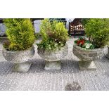 Three garden urns