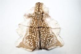 A Fallow deer (Dama Dama) skin,