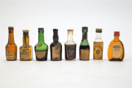 A large selection of spirit miniatures (some with ullage) including :L Trotsky Apricot Brandy,