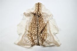 A Fallow deer (Dama Dama) skin,