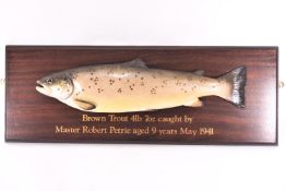 A taxidermy brown trout (Salmo Trutta), 4lb's 7oz caught by Master Robert Petrie, aged 9 years,