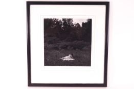 Harry Callahan (American 1912 - 1999) Nude in landscape, photograph, artist signed in pencil mount,