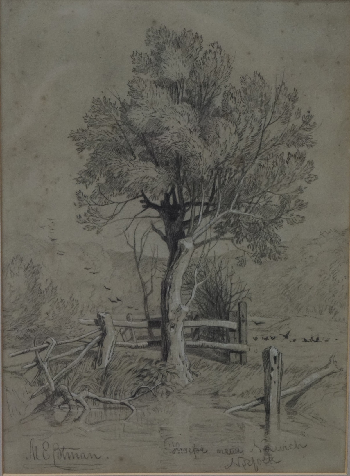 Miles Edmund Cotman, Thrope near Norwich, charcoal heightened in white, signed lower left , - Image 2 of 4