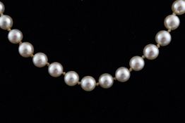 A single strand of cultured pearls (untested) consisting of 72 pearls measuring from 7.5mm to 8.0mm.