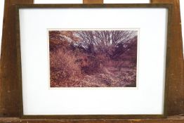 Len Jenshel, landscapes, photographs, set of three,
