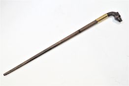 A heavy walking stick with a pigs head handle,