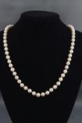 A single strand of cultured pearls (untested) consisting of 72 pearls measuring from 7.5mm to 8.