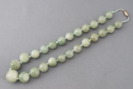 A single strand of graduated polished green beads, strung knotted with a gold plated screw clasp.