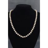 A single strand of cultured pearls (untested) consisting of 72 pearls