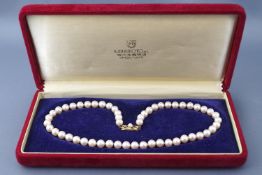 A single strand of cultured akoya pearls by Mikimoto. Measuring 6.5mm to 7mm.