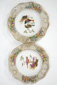 A pair of 19th century Dresden porcelain plates, each painted with exotic birds with pierced rims,
