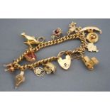 A yellow metal curb link bracelet with assorted charms. Padlock and safety chain.