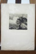 M Rudge, Limited edition etching, Wind and Rain, pencil, signed lower right,