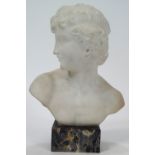 A fine 19th century Carrara marble bust of Apollo,