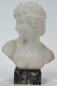 A fine 19th century Carrara marble bust of Apollo,