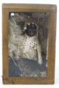 A pine case with glazed front containing a small doll in lace clothes,