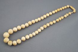An early 20th century string of graduated Ivory beads,