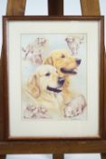 Four Golden Retriever prints, the largest after Mick Cawston, signed in pencil lower right,