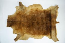 A red deer stag skin,