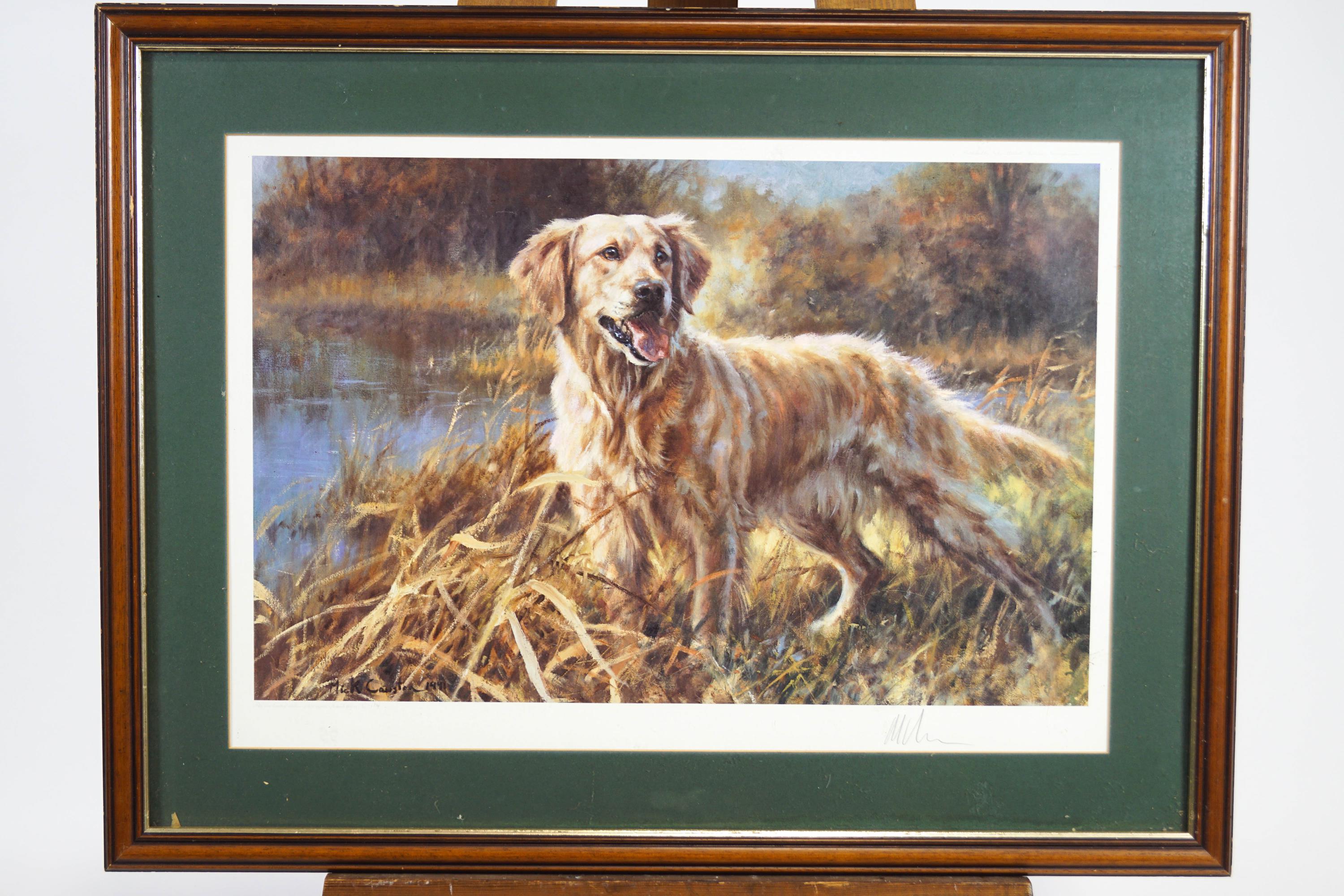 Four Golden Retriever prints, the largest after Mick Cawston, signed in pencil lower right, - Image 4 of 5