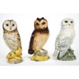 A group of three Royal Doulton china Whyte and Mackay whisky owl flagons