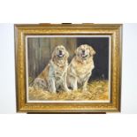 Martin Alford, Two Golden Retrievers in a Stable, oil on canvas, signed bottom right and dated 2010,