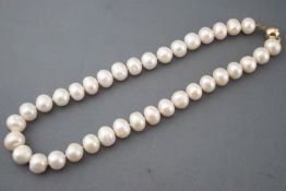 A single strand of cultured freshwater pearls measuring 12.0mm to 12.5mm approximately.