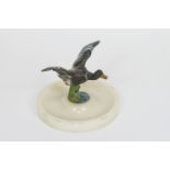 A cold painted bronze of a mallard in full flight,