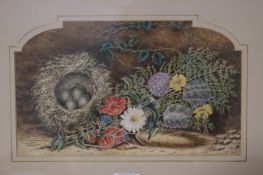 English School, 19th century, Still life with a birds nest and wild flowers, watercolour, 19.