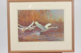 James Hamburg, Swans Visiting, pastel, signed and titled lower left,