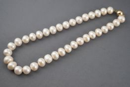 A single strand of thirty six cultured freshwater pearls (untested)