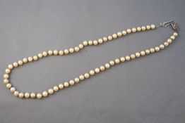 A single strand 5.5mm cultured pearls.