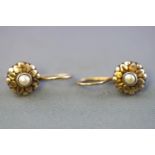 A yellow metal pair of earrings. Each centrally set with a seed pearl. Hook fittings.