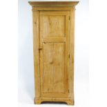 A 19th century stripped pine cupboard,