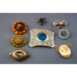 A collection of seven brooches of variable styles together with a carved pendant, with chain.